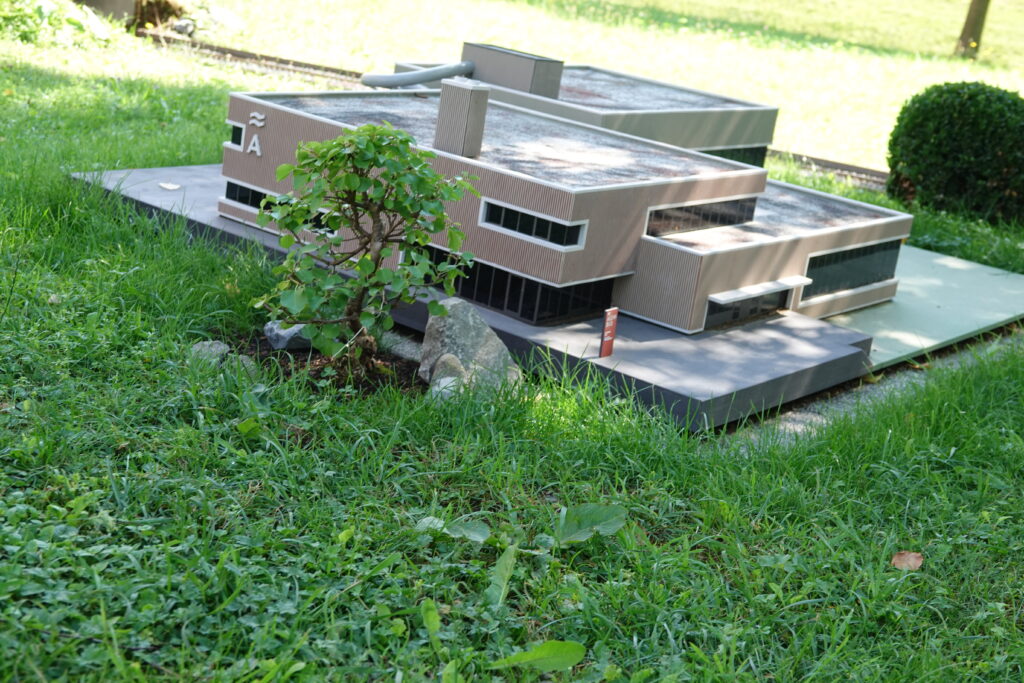 Pflanzung von Bonsai und weiteren Pflanzen, 30. Juni